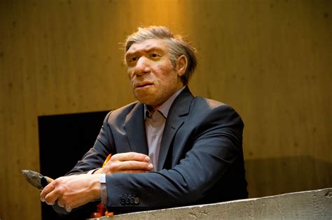 Neanderthal Y chromosome study hints at fertility problems with modern females | The Japan Times