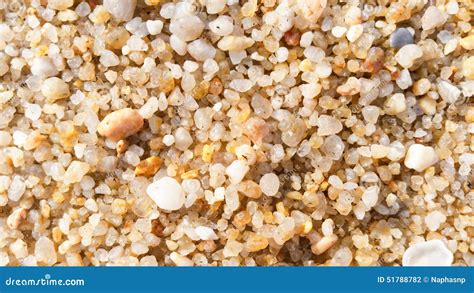 Coarse Sand Texture Background Royalty-Free Stock Image | CartoonDealer ...