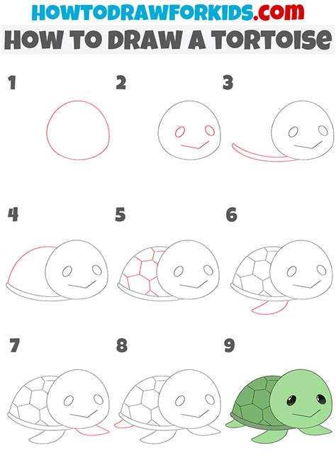 How to Draw a Tortoise - Easy Drawing Tutorial For Kids