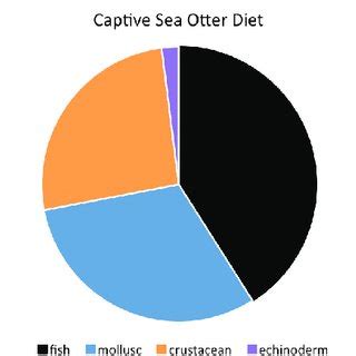 (PDF) Sea Otter (Enhydra lutris) Diet Diversity in Zoos and Aquariums