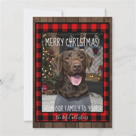 Chocolate Lab Christmas Card | Zazzle