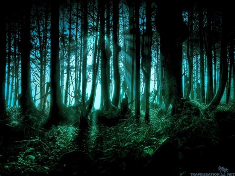 Creepy Forest Wallpapers on WallpaperDog