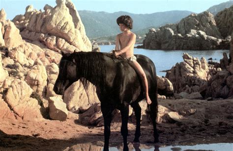 Black Stallion Horse Movie