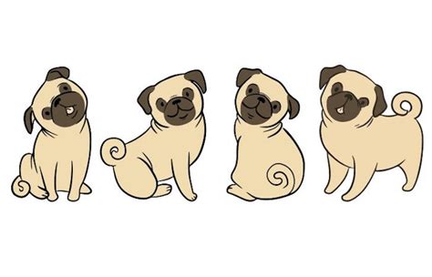 How to draw a Pug - Letsgetpet