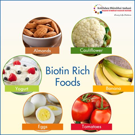 Biotin Rich Foods