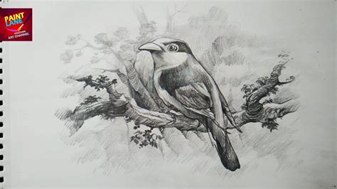 Pencil Shading Drawing Animals - bestpencildrawing