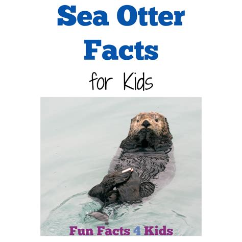 Amazing Sea Otter Facts for Kids – Fun Facts 4 Kids