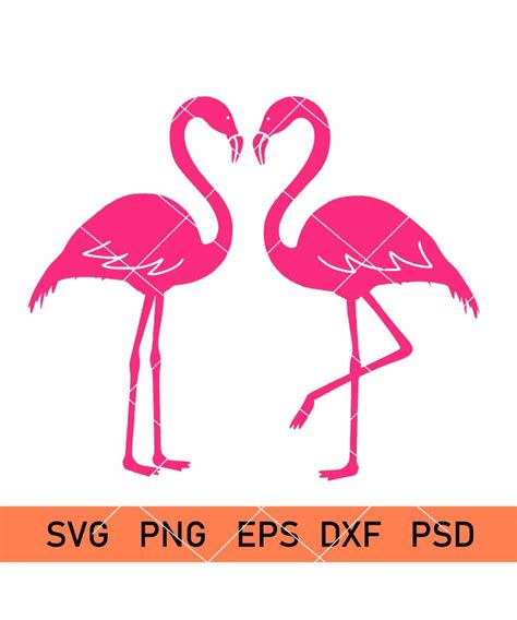 Flamingo Svg, summer Svg, beach Svg, flamingo, pink flamingo, flamingo Svg files, Flamingo cut file