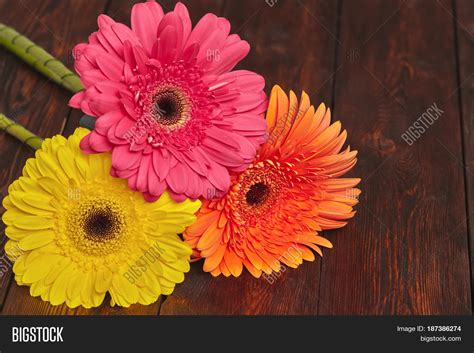 Yellow Orange Pink Image & Photo (Free Trial) | Bigstock