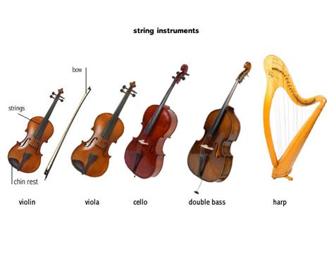 Instruments of Orchestra: The String Section