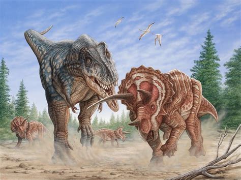 Did T. rex eat triceratops? - Quora