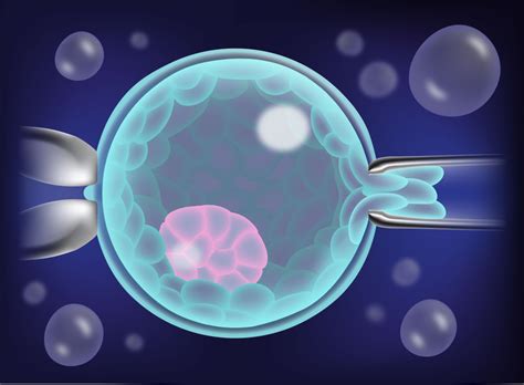 EMBRYO BIOPSY ( PGT-A / PGD) - Motherhood Hospital