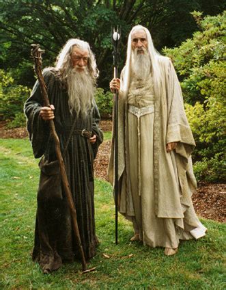 Saruman and Gandalf - Saruman Photo (20940348) - Fanpop