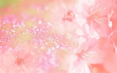 Pink flower background wallpaper | 1920x1200 | #31356