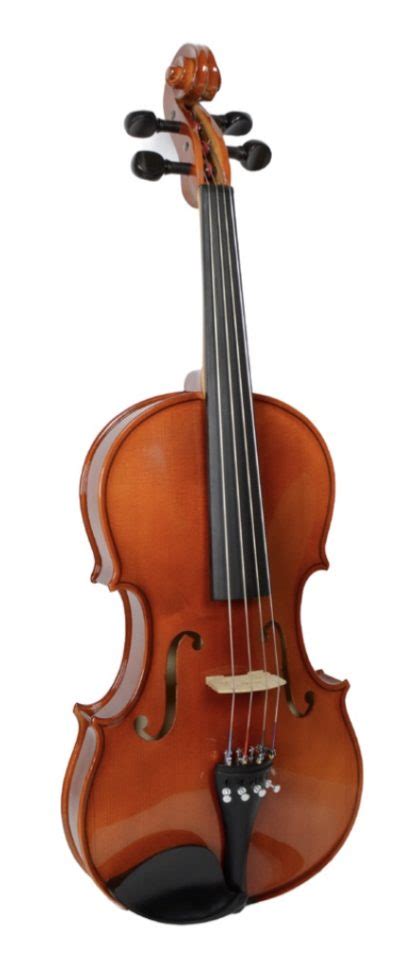 Oxford Viola Beginner Series Sizes 12" Through 16 1/2" | Music2Tor