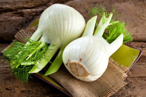 Fennel: varieties, growing, propagation & care - Plantura