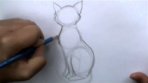 How to draw a basic cat sitting – HousePetsCare.com