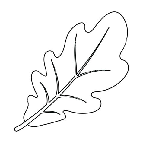 White Oak Leaf Drawing at PaintingValley.com | Explore collection of ...