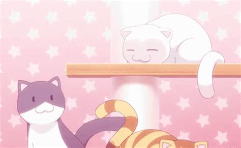 Meowww GIF - Anime Meow Cat - Discover & Share GIFs