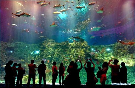 √ Ocean Park Hong Kong Aquarium