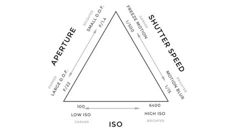 ISO Easy! Underwater Photography Camera Settings Explained