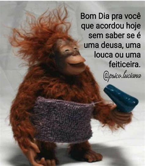 92 Imagens Com Frases Engraças De Bom Dia Para Animar Sua Manhã