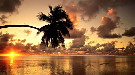 Hawaii, Beach, Sunset, Landscape, Clouds, Nature, Photography, Palm Trees Wallpapers HD ...