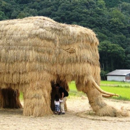 Straw Art