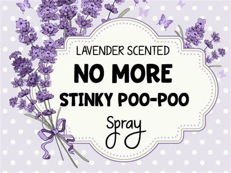 DIY Lavender Scented "No More Stinky Poo-Poo" Spray