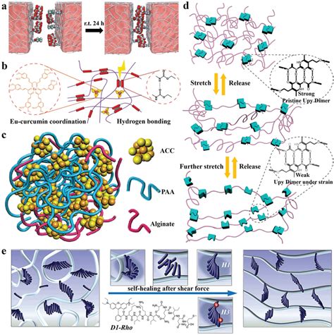 Self‐healing mechanisms for hydrogels. a) Self‐healing supramolecular ...