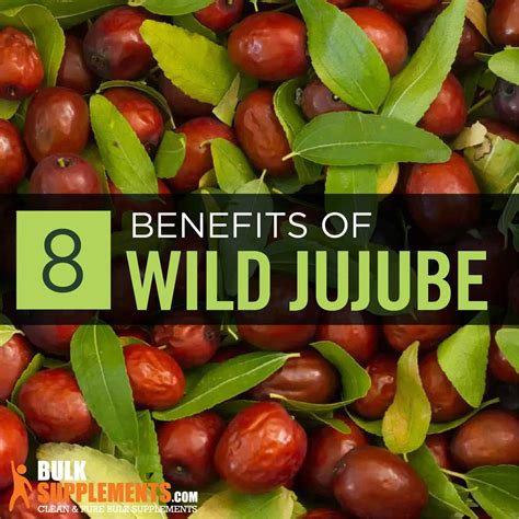 Wild Jujube Extract: Benefits, Side Effects & Dosage