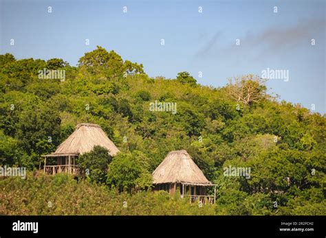 Small huts of a beach resort, surrounded by tropical vegetation, Fiji ISlands Stock Photo - Alamy