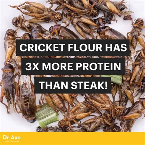 Cricket Flour Has 3x More Protein Than Steak - Dr. Axe