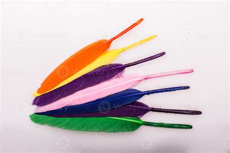 Studio shot photo colored bird feathers as texture background 14512311 ...