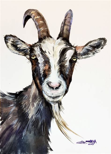 The best free Goat watercolor images. Download from 94 free watercolors of Goat at GetDrawings