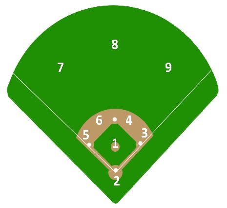 Baseball Positions by Number