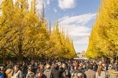 The 10 Best Parks in Tokyo