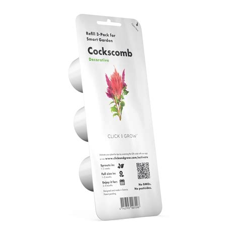 Cockscomb Plant Pods | Click & Grow