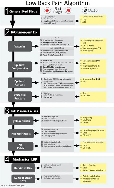 Low Back Pain Algorithm and Differential Diagnosis - Manual of Medicine