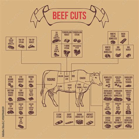 Vintage butcher cuts of beef diagram Stock Vector | Adobe Stock