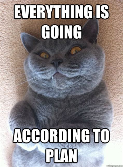 EVERYTHING IS GOING ACCORDING TO PLAN - Evil Cat - quickmeme