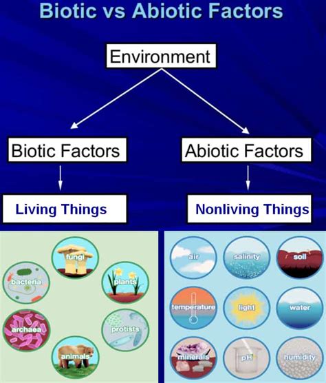 Difference between Biotic and Abiotic factors - Laboratoryinfo.com