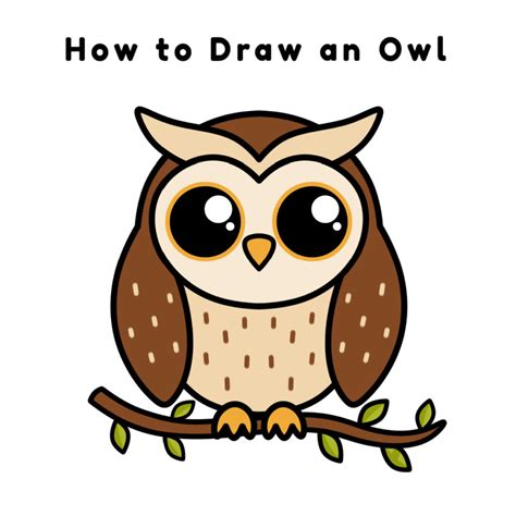 How to Draw An Owl