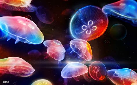 Underwater Jellyfishes Wallpaper,HD Creative Wallpapers,4k Wallpapers,Images,Backgrounds,Photos ...