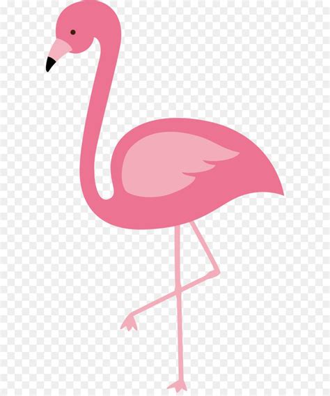 Vector flamingo svg - Aslojordan