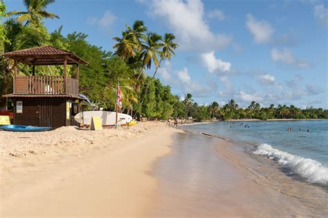 10 Best Beaches in Martinique - What is the Most Popular Beach in Martinique? - Go Guides