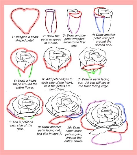 Open Rose Drawing Step By Step at GetDrawings | Free download