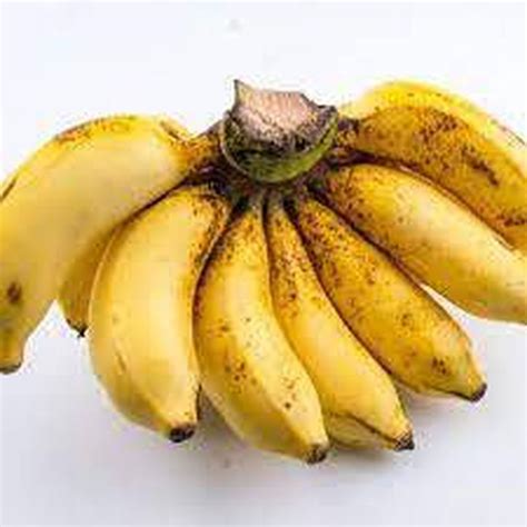 PISANG SUSU