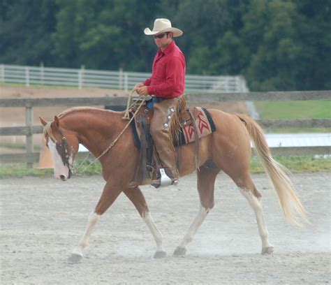 Dressage in a Western Saddle - Patrick King Horsemanship