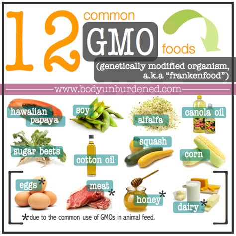 20 GMO Food - Spreading Goodness and Kindness to the World